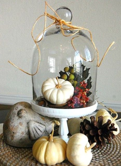 a cloche with a fake pumpkin and berries and fake leaves with twine on the cloche itself, add pinecones and pumpkins around