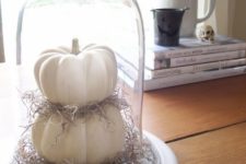 08 a cloche with white fake pumpkins and hay is ideal for neutral rustic or vintage Thanksgiving decor