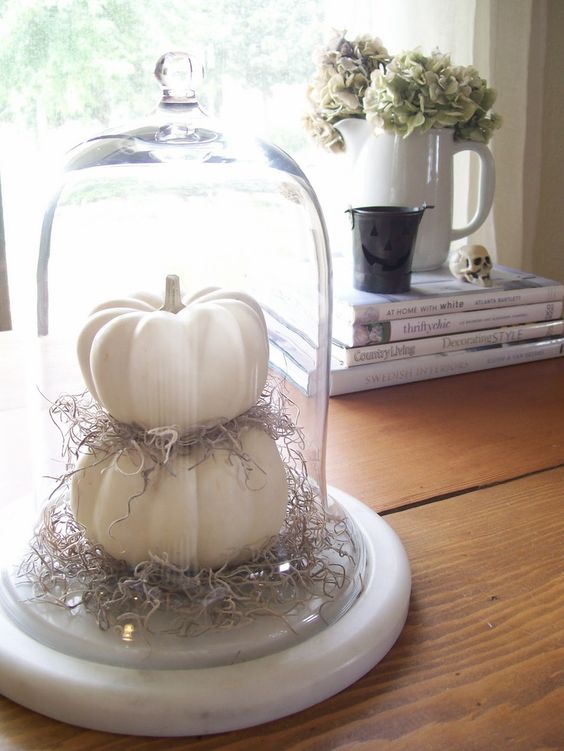 a cloche with white fake pumpkins and hay is ideal for neutral rustic or vintage Thanksgiving decor