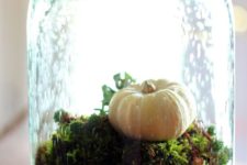 09 a cool blue cloche with a bowl filled with moss and a fake pumpkin for a fresh touch on your table or mantel