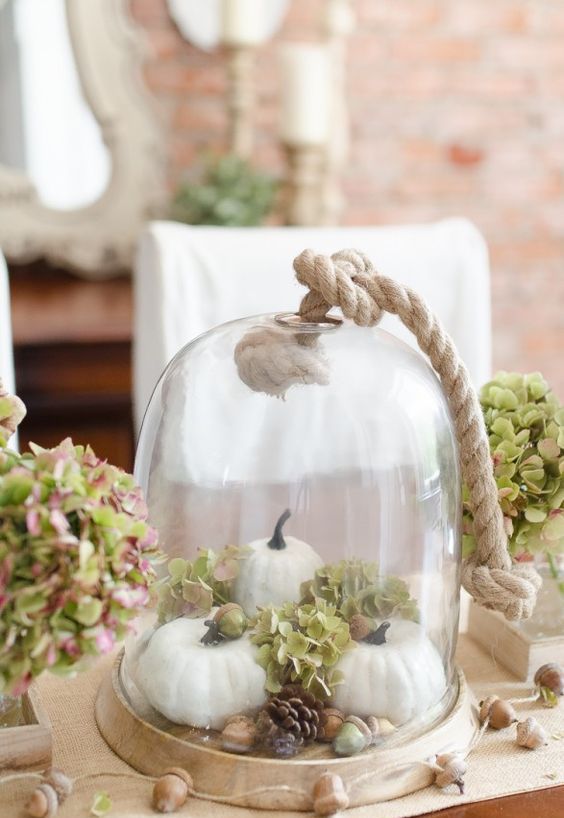 a neutral rustic cloche display with fake pumpkins, hydrangeas, acorns and pinecones and thick rope looks wow