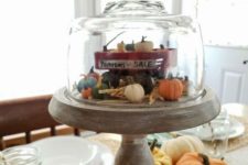 an upcycled cheese dome cloche with a little clay display with pumpkins for a whimsy and fun centerpiece