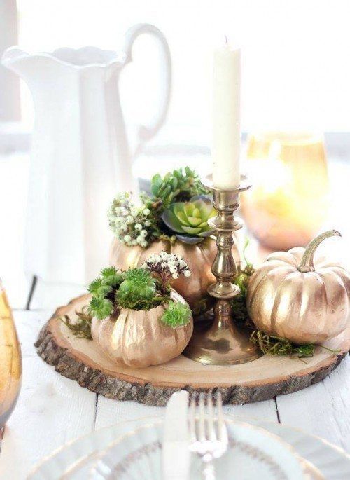 fake pumpkins spray painted copper and used as planters for succulents are a great rustic decor idea