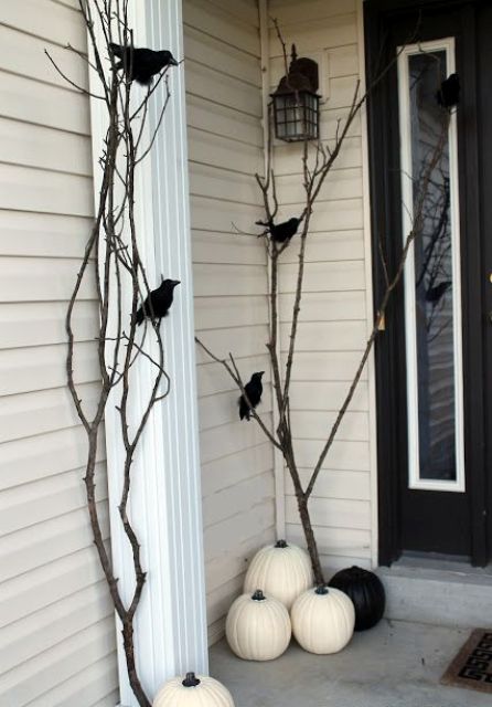 Black and white pumpkins, branches and fake birds sitting on them look scary enough for an entrance