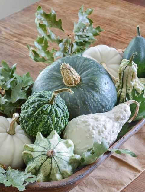 a vintage rustic centerpiece of a bread bowl filled with white and green gourds and fresh oak leaves