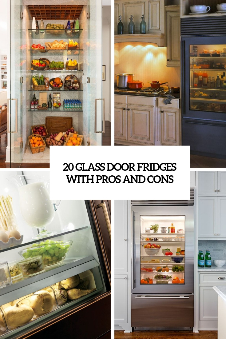 20 Glass Door Fridges With Pros And Cons
