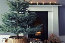 02 a Christmas tree in a basket with no decor at all is a super modern and very actual idea