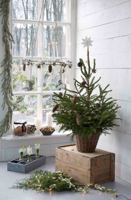 a small Christmas tree with pinecones and a white star on top is a cozy and super natural idea