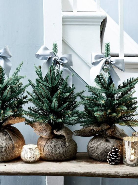 a trio of little Christmas trees wrapped in burlap and topped with grey ribbon bows for a cute look