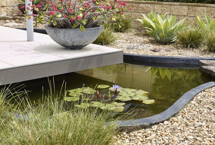 You may also see a pond with floating plants and blooms plus some desert-styled landscape
