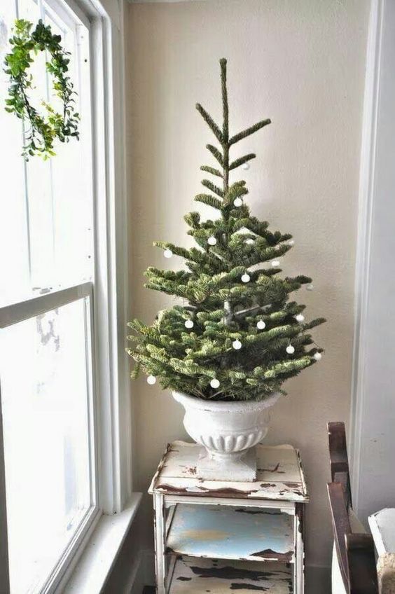 a small tree in a vintage urn decorated with tiny white ornaments - you won't need more for a catchy look