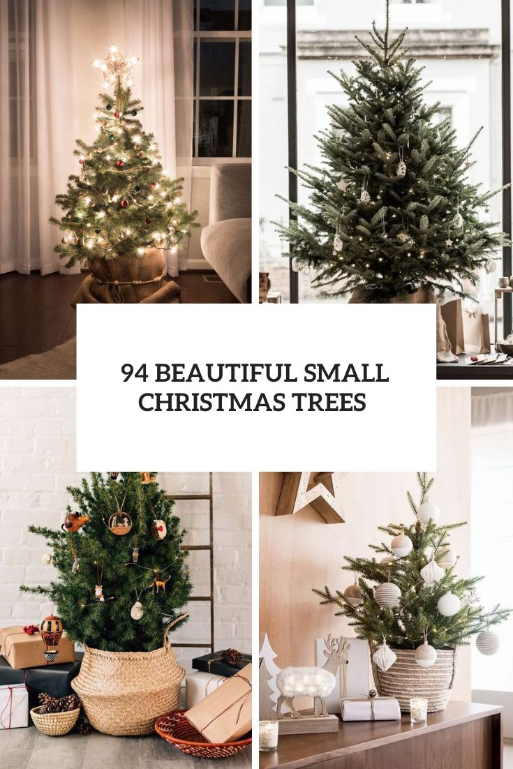beautiful small christmas trees