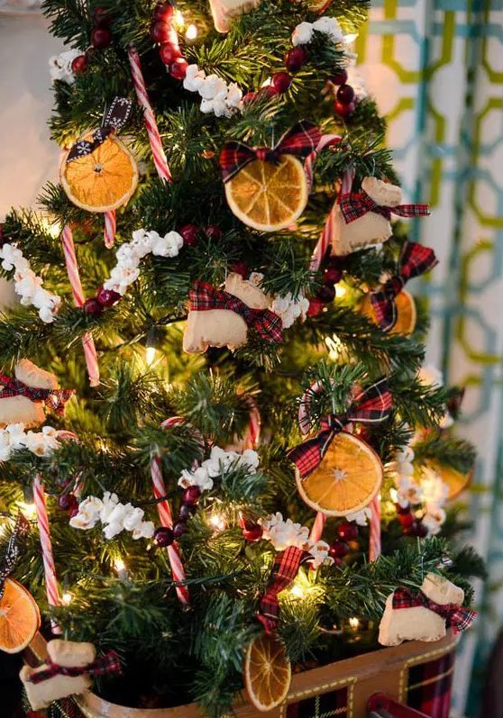 a Christmas tree decorated with popcorn, cranberries, citrus slices, candy canes and lights is amazing and you can DIY such decor