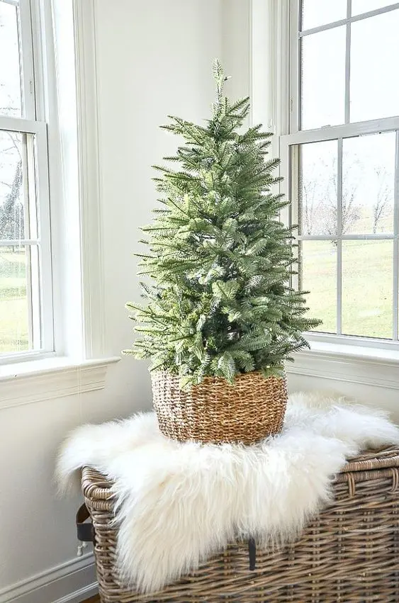 a small Christmas tree in a basket with no decor is a very nordic and cool idea for the holidays