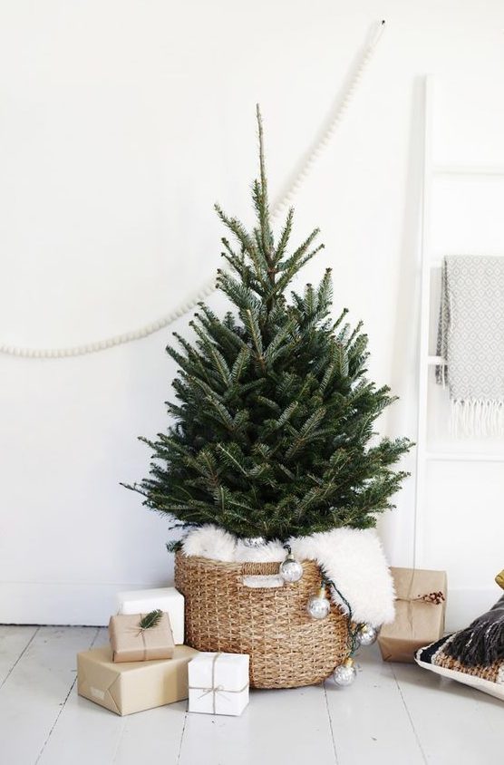 a small Christmas tree placed in a basket with faux fur, with some bulbs, is a very cool and fresh solution and it adds a modern feel to the space
