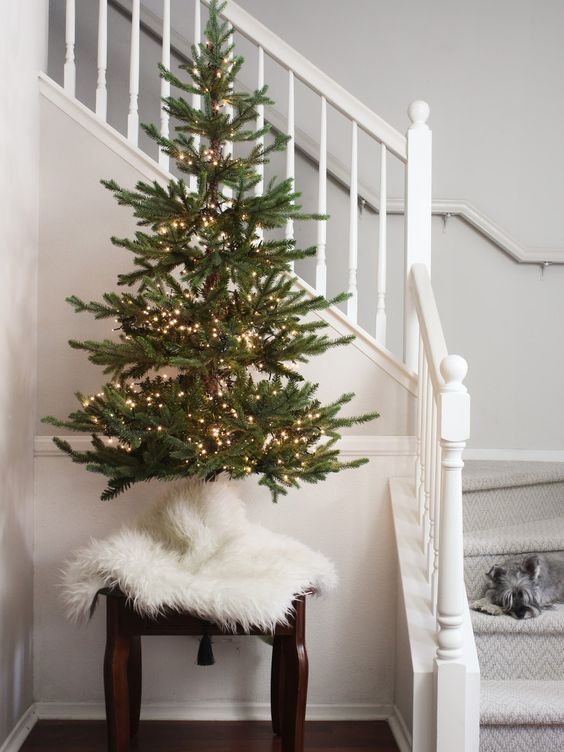a small Christmas tree with lights is a cool and catchy decor idea for any space