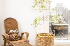 15 a neutral relaxing space with a wicker lounger and an olive tree in a basket with moss feels modern and Mediterranean
