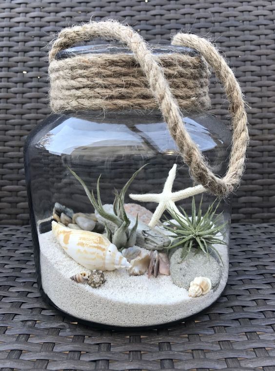 a large jar with a beach scene with sand, rocks, driftwood, air plants and seashells plus rope