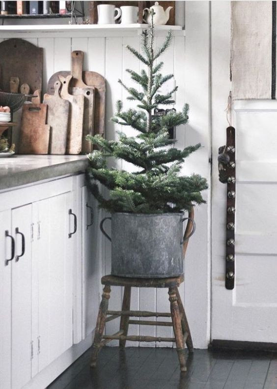 simple placing of a Christmas tree into a galvanized bucket is also ok, no decor is needed