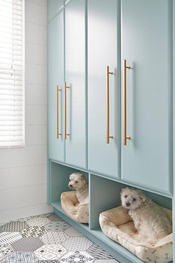 aqua colored laundry room wardrobes with pet beds underneath for comfort and a cool look