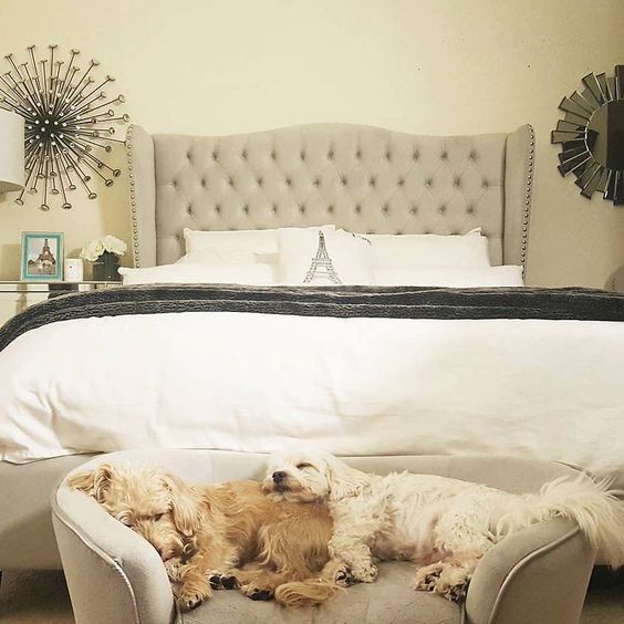 a little upholstered bench or couch can be used by your pets for sleeping easily