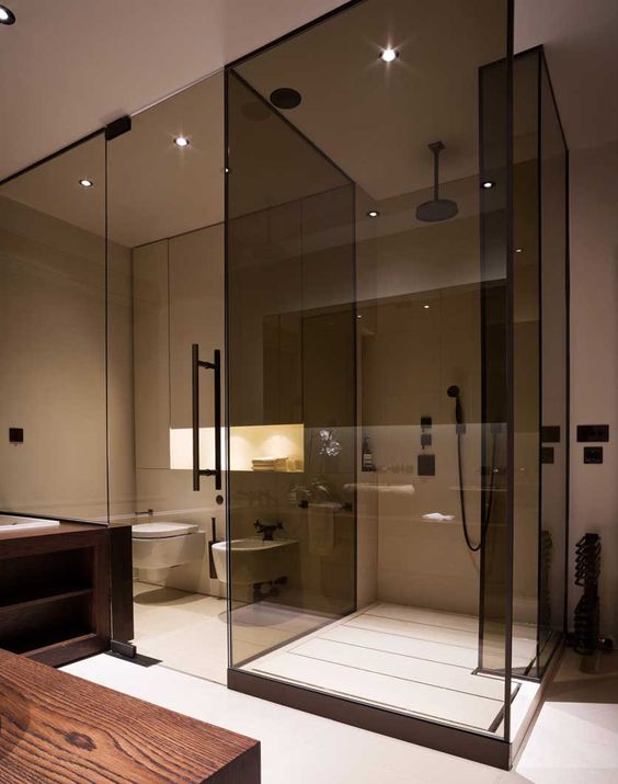 separate the shower with smoked glass doors from the rest of the bathroom to make it a bit divided