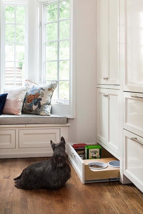a drawer with a pet feeding station and some dog food stored here, too, is a very comfy idea