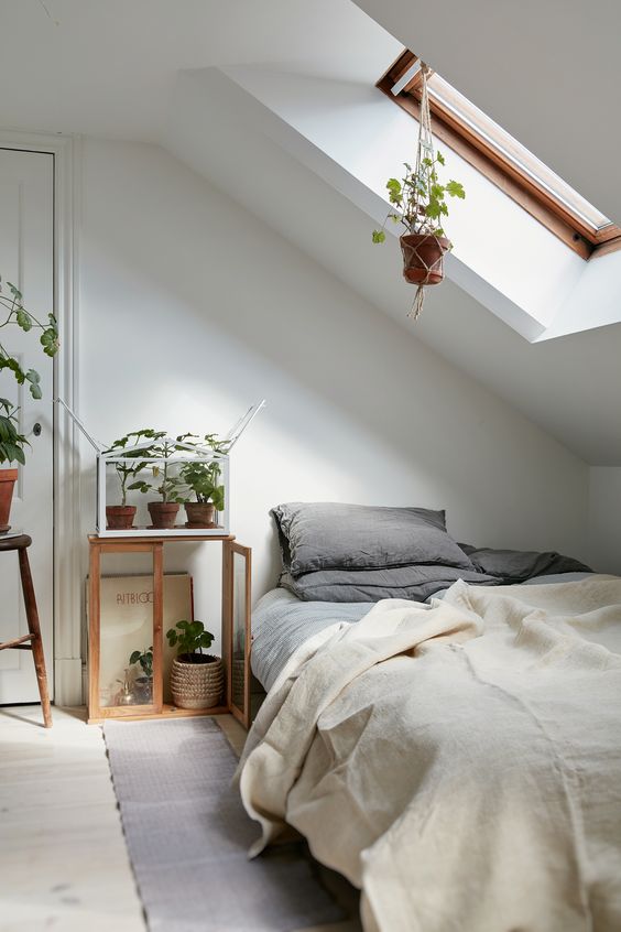 such an attic bedroom with much potted greenery creates a cozy and relaxing sleeping space