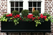 03 a window box planter filled with greenery, foliage, red blooms and bushes for a fresh look