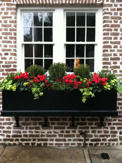A window box planter filled with greenery, foliage, red blooms and bushes for a fresh look