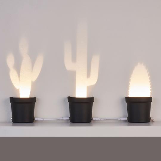 Here are all the three cactus shaped lamps as an arrangement