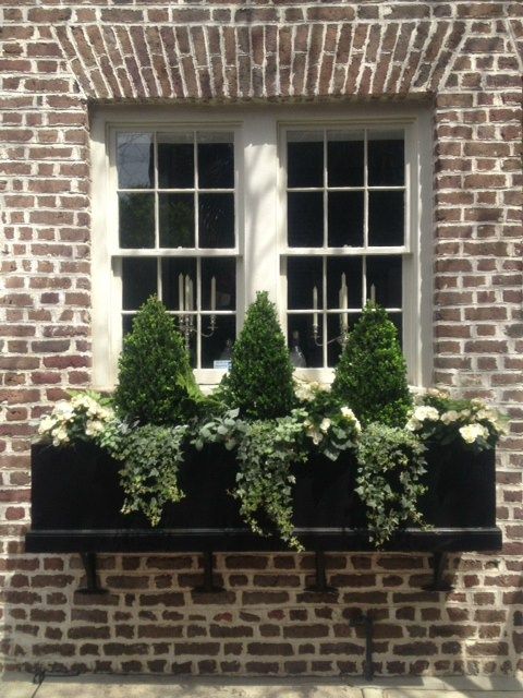 a black window box planter with greenery, white blooms and tiny trees refreshes the look at once