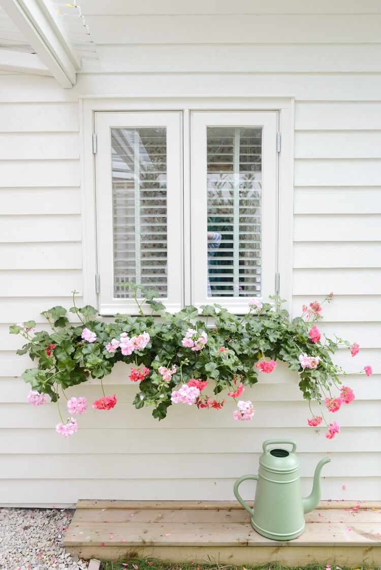 A white window box planter on a white wall looks invisible, especially with cascading flowers