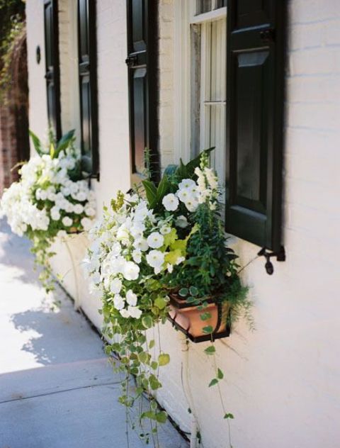 Little wooden window box planters with lush white blooms, foliage and cascading greenery look chic