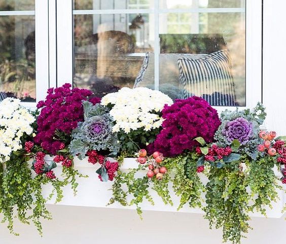 a white window box planter with burgundy and white blooms, foliage, cabbages, berries
