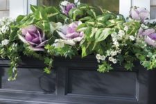 20 a traditional black window planter with much greenery and foliage and purple cabbage for a touch of color