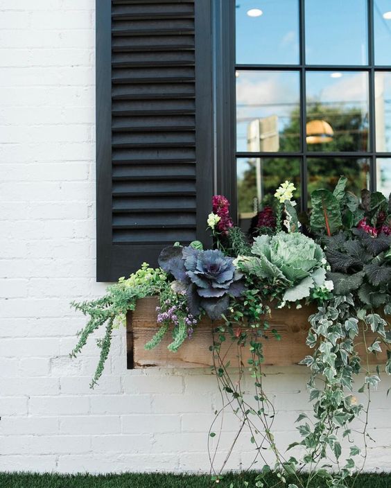 A rustic wooden window box planter with cabbages, blooms, foliage and little flowers looks cool