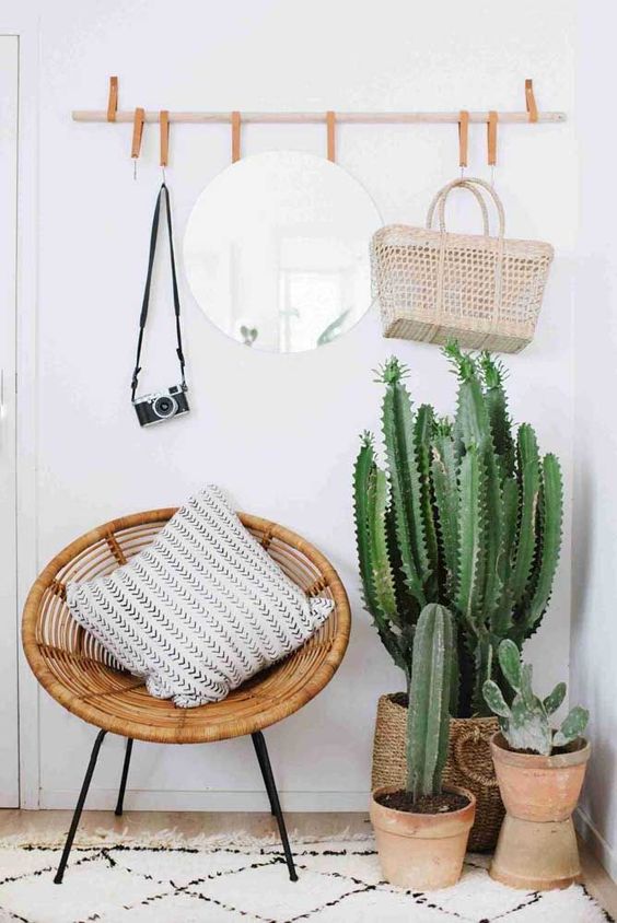 potted cacti will be a nice idea for a boho or desert entryway space, they look spectacular