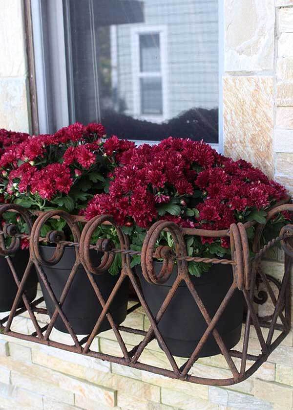 a decorative iron window box for potted plants allows you changing the plants and blooms when you want