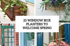 25 window box planters to welcome spring cover
