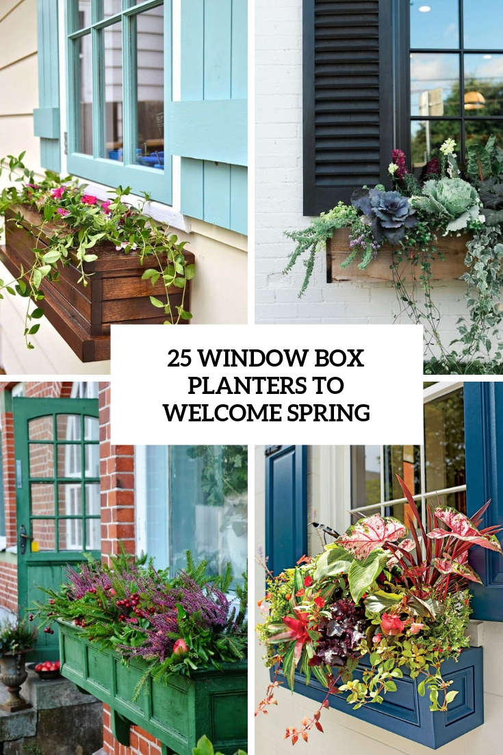 window box planters to welcome spring