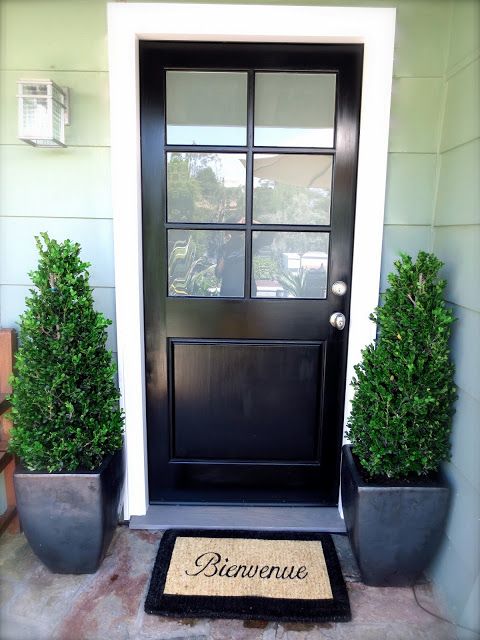 a black door and matching black ceramic planters with boxwood make a cool modern setup