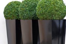 02 large glossy black planters with boxwood will make your front yard elegant, stylish and bold
