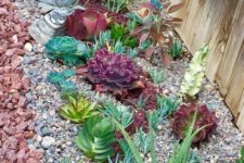 02 succulents come in many various colors, from various shades of green to burgundy and grey