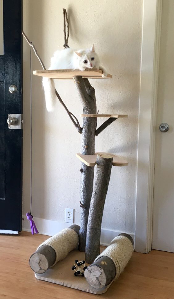 a mini cat tree with trunks and shelves and a duo of scratchers under it looks very natural  and fresh