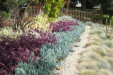 03 covering the ground with pale succulents and simple grasses create a living tapestry in the front yard