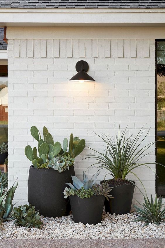 matte black planters with different cacti, succulents and grass plus a light over them is a stylish modern idea