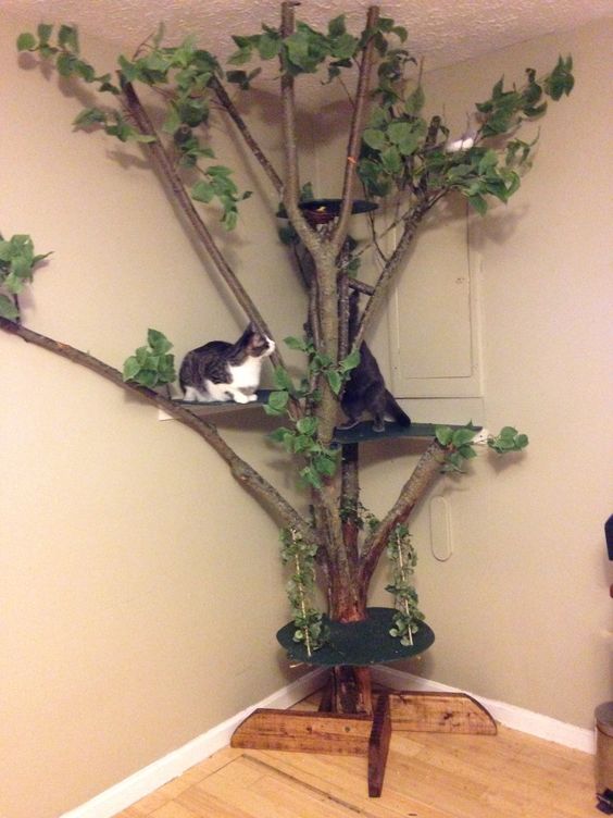 a classic-looking cat tree of branches and trunks and fake greenery plus some spaces to jump on