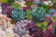 04 vary post and round cacti, in purple, grey, green and even yellow to create a perfect landscape