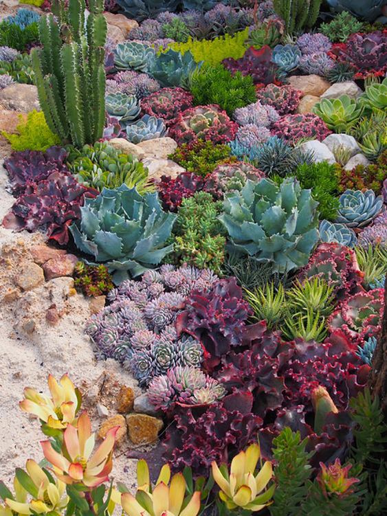 vary post and round cacti, in purple, grey, green and even yellow to create a perfect landscape